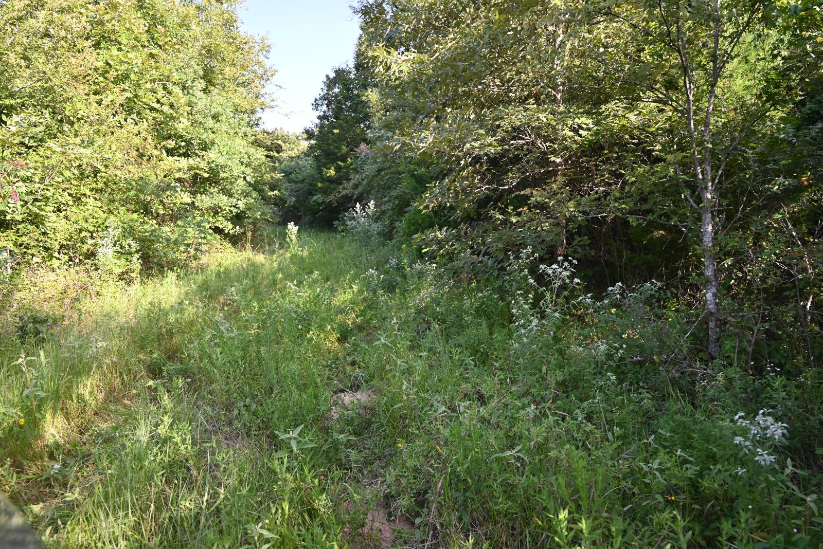7705 S. Kite Rd