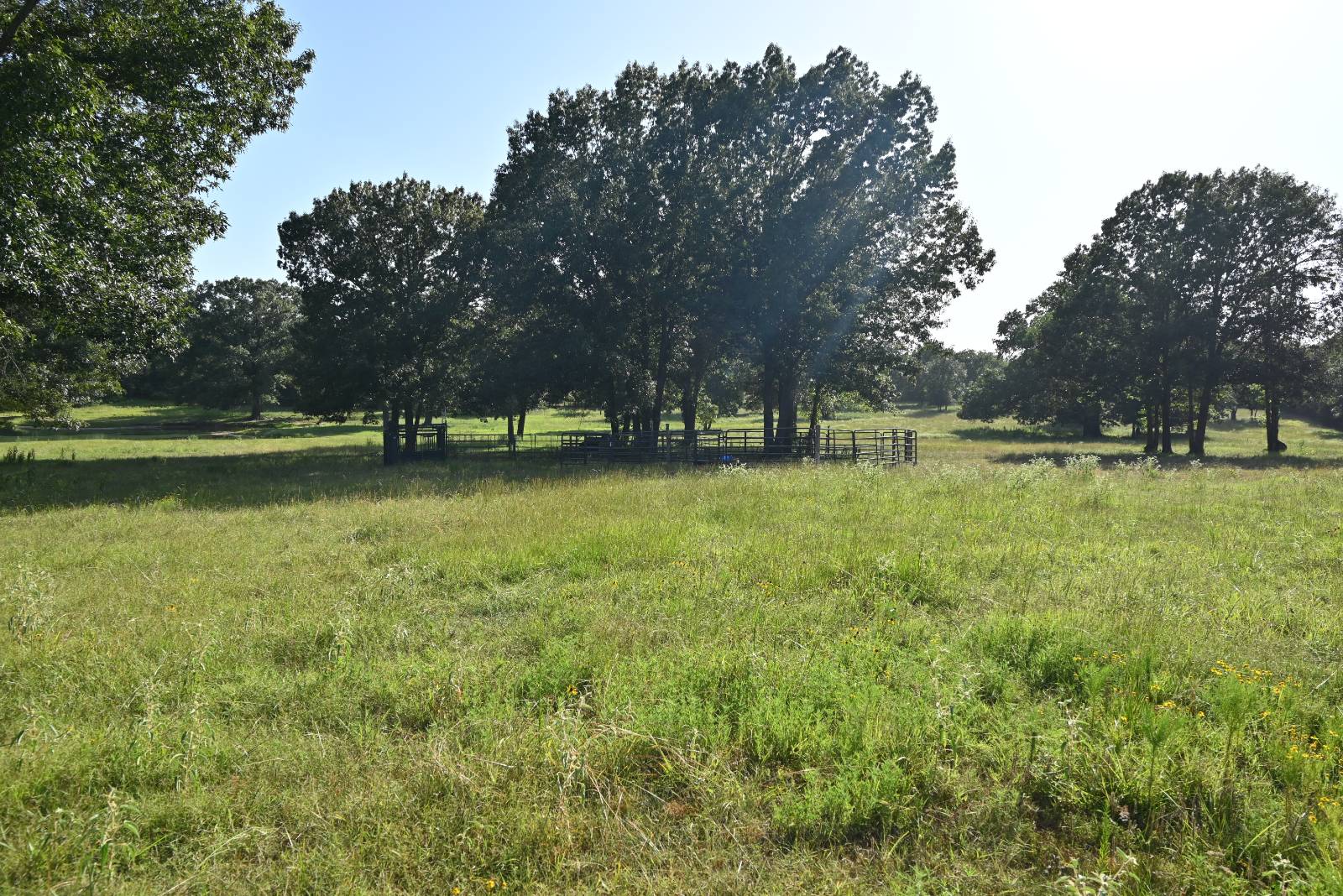 7705 S. Kite Rd