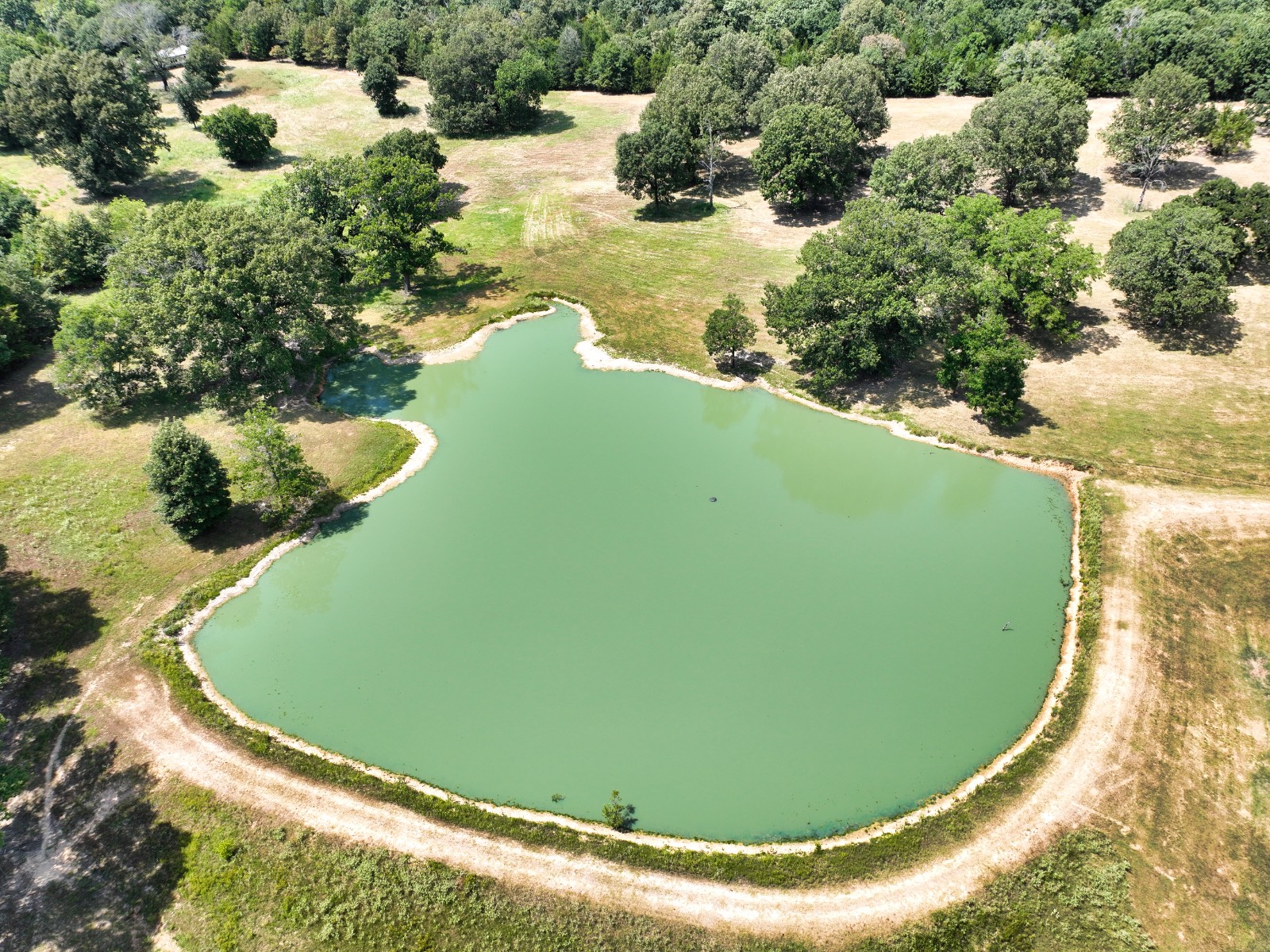 7705 S. Kite Rd