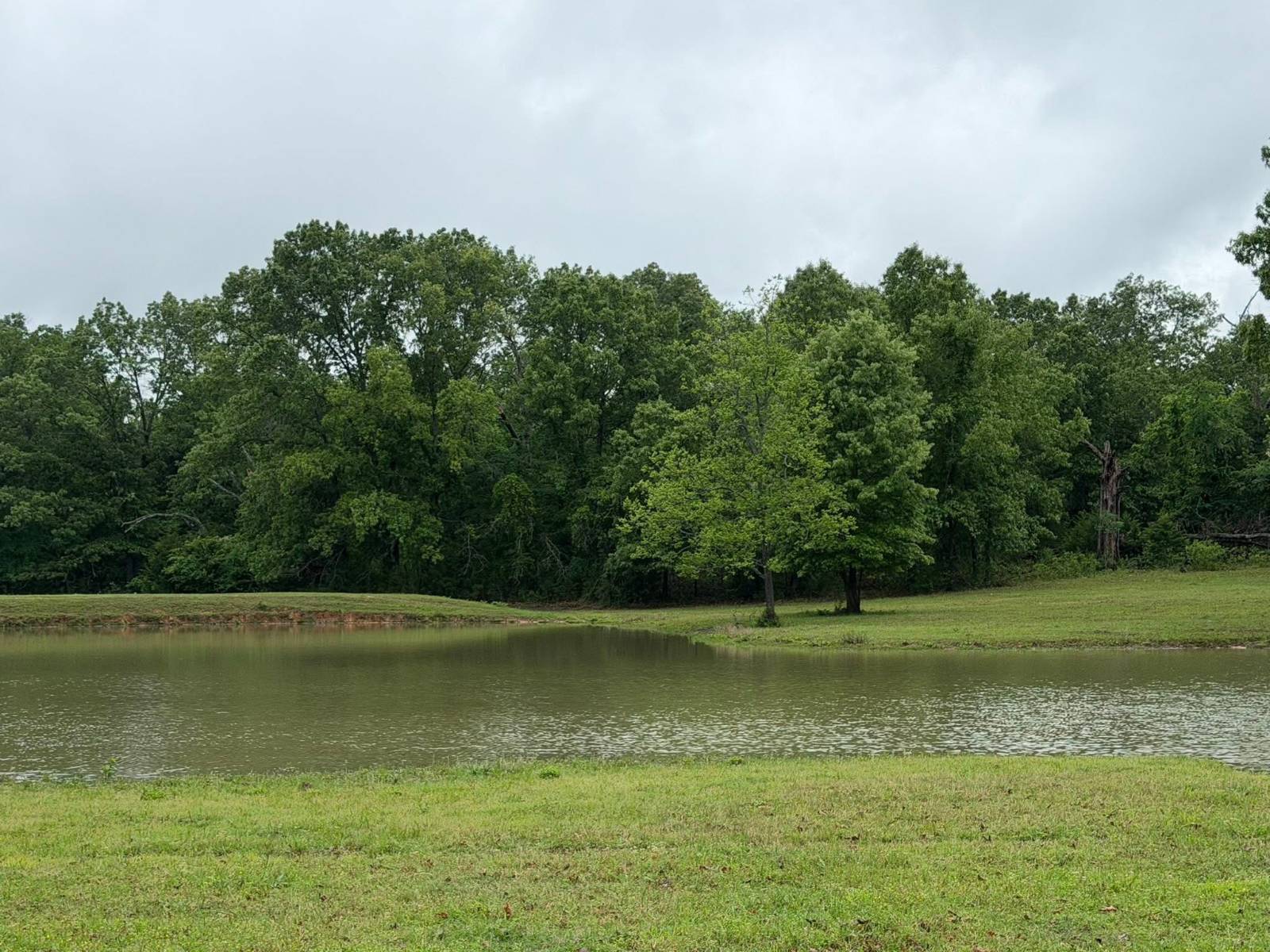 7705 S. Kite Rd
