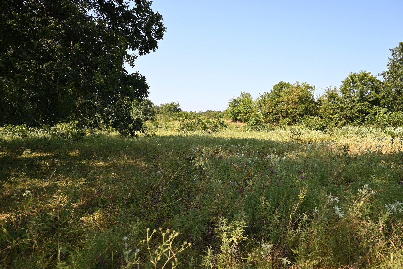 3690 County Road