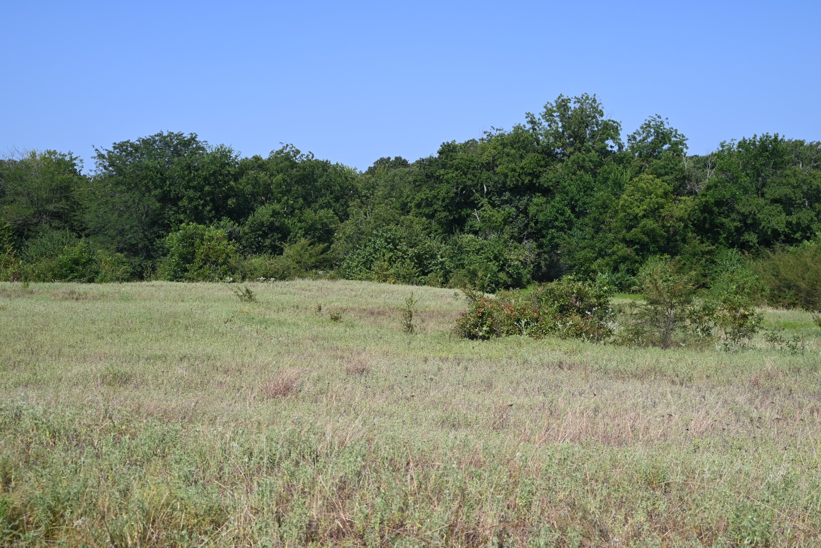 3690 County Road