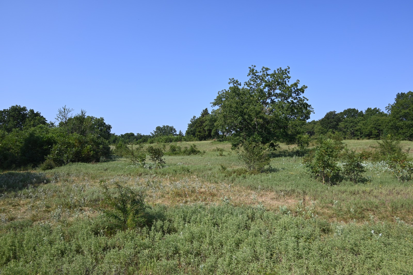 3690 County Road