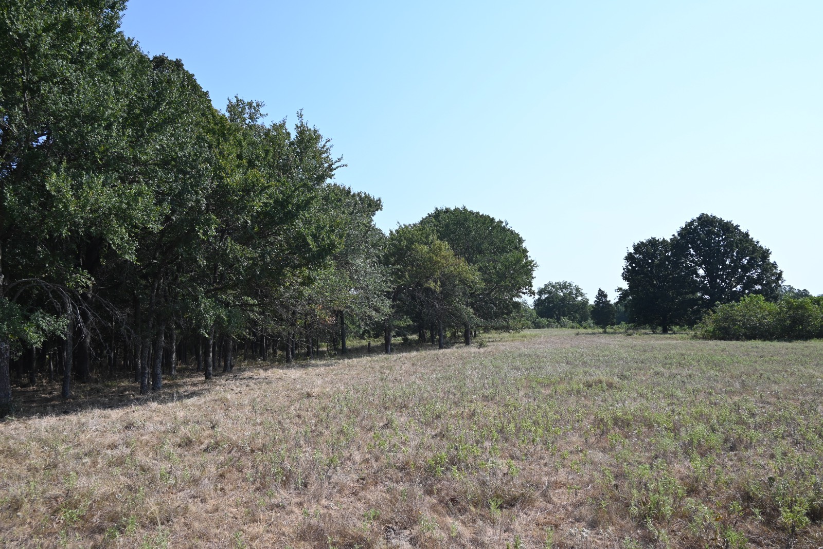3690 County Road