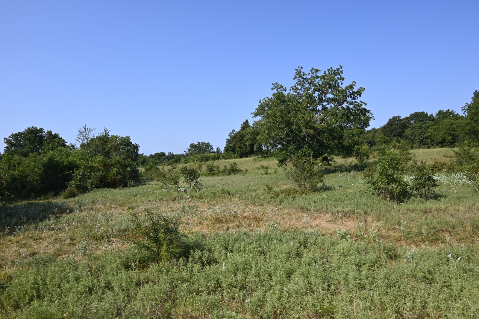 3690 County Road