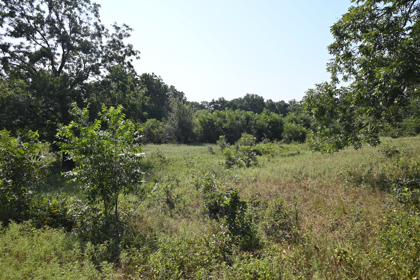3690 County Road