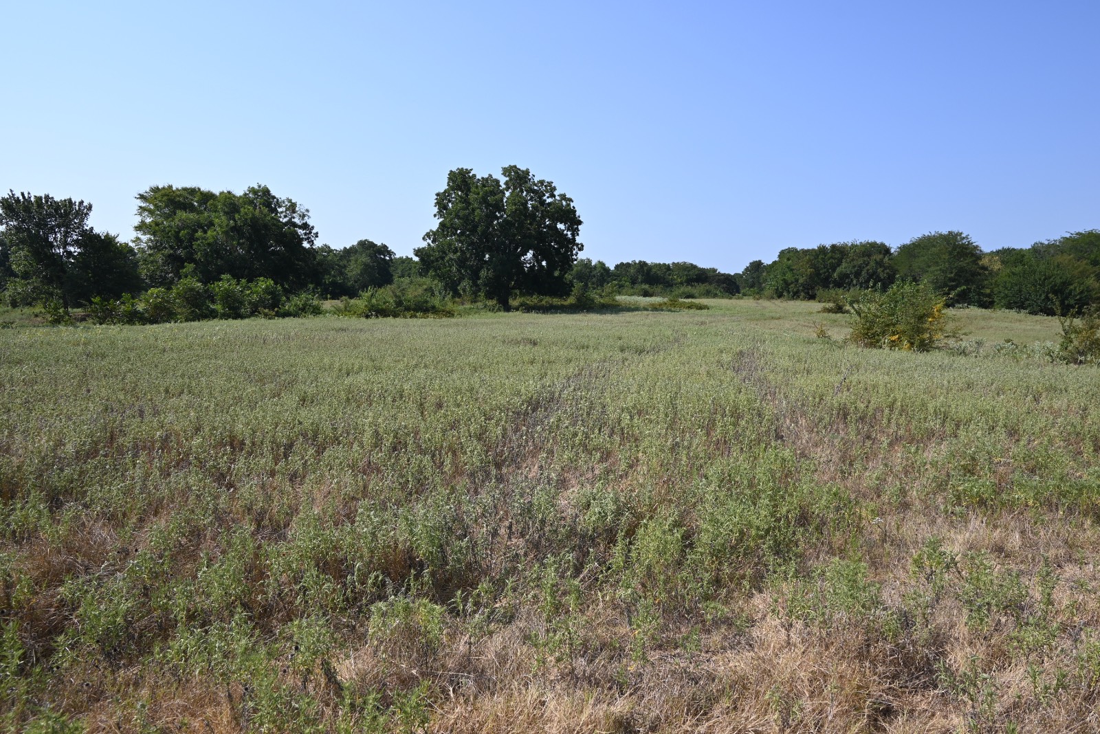 3690 County Road