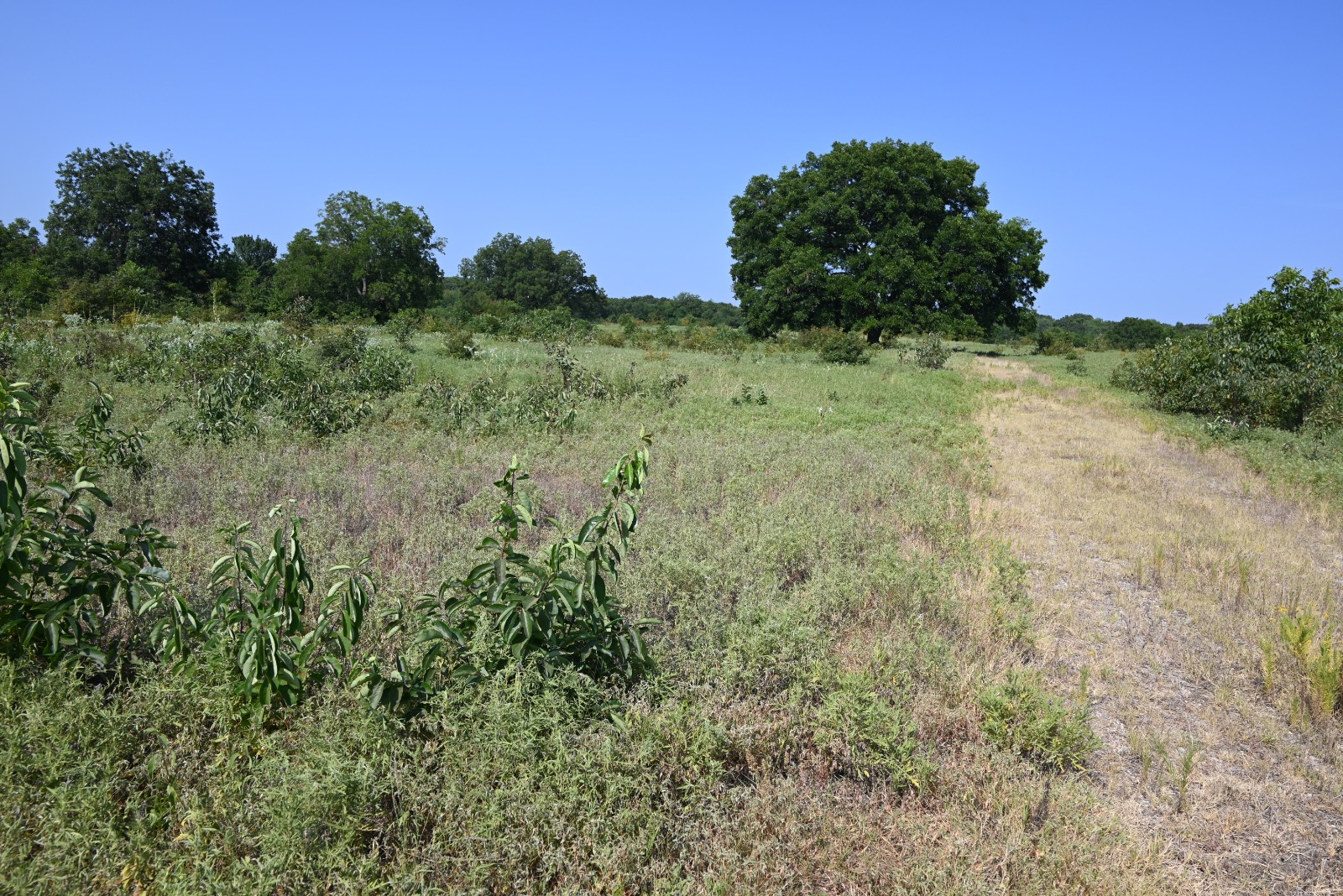 3690 County Road
