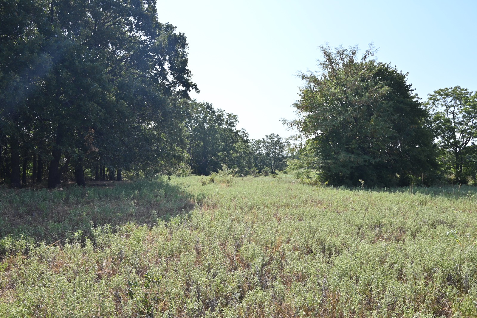 3690 County Road