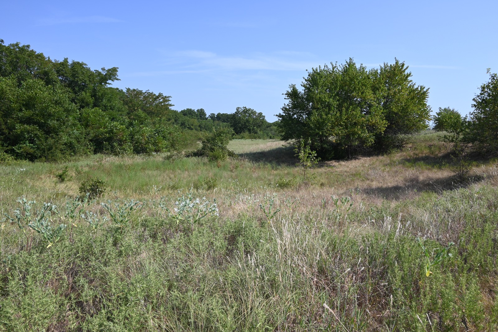 3690 County Road