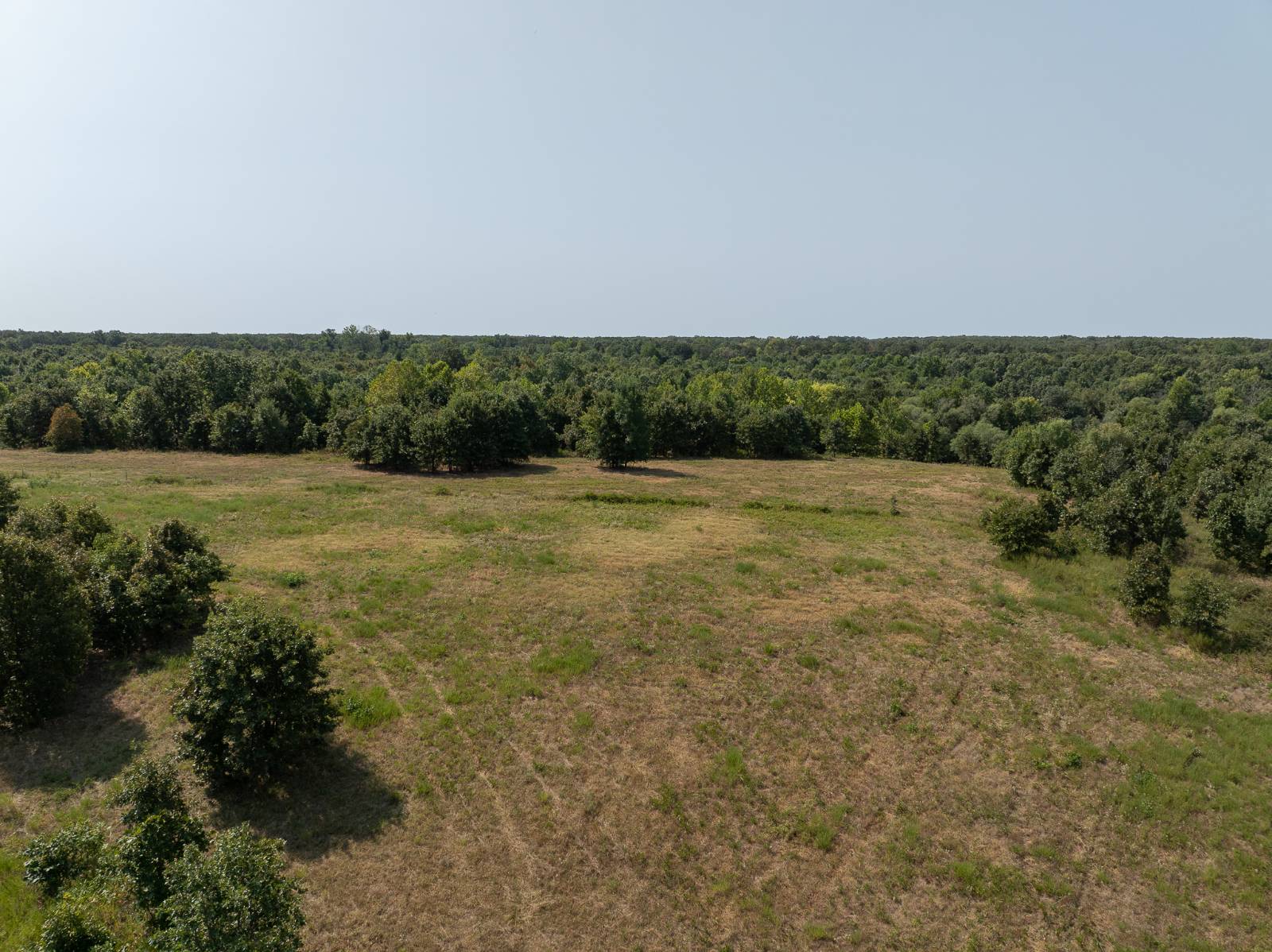 65175 160 Rd