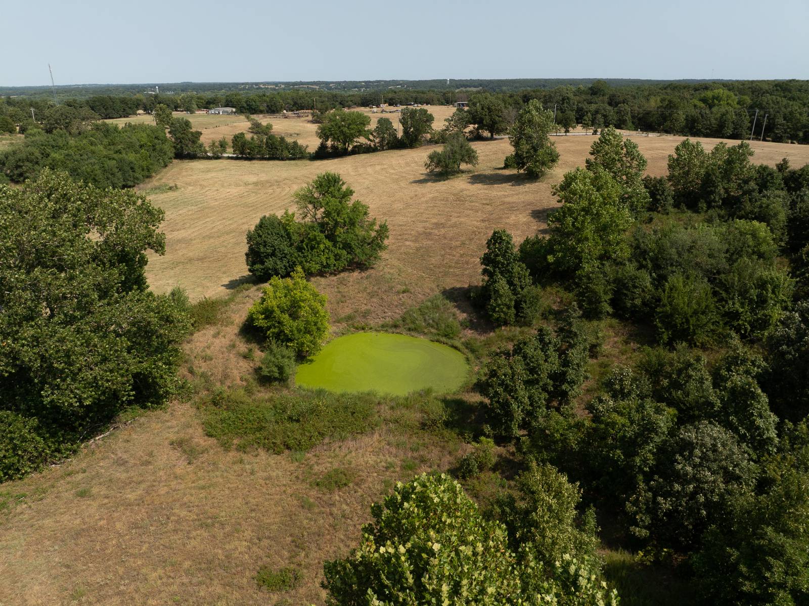 65175 160 Rd