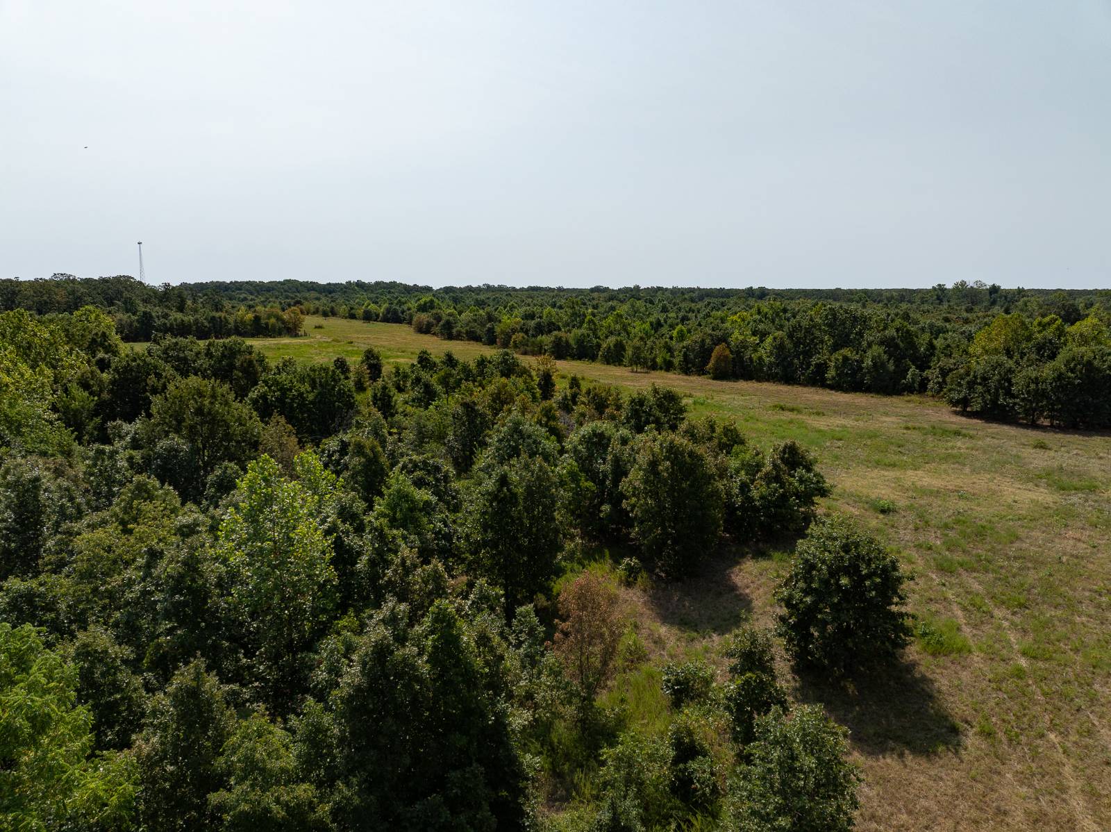 65175 160 Rd