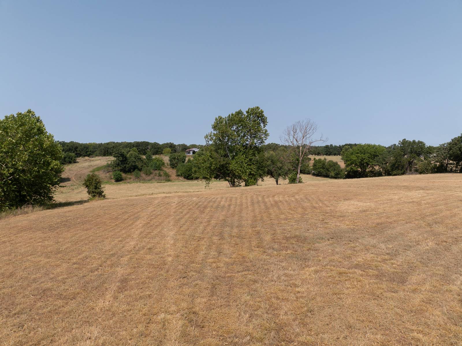 65175 160 Rd