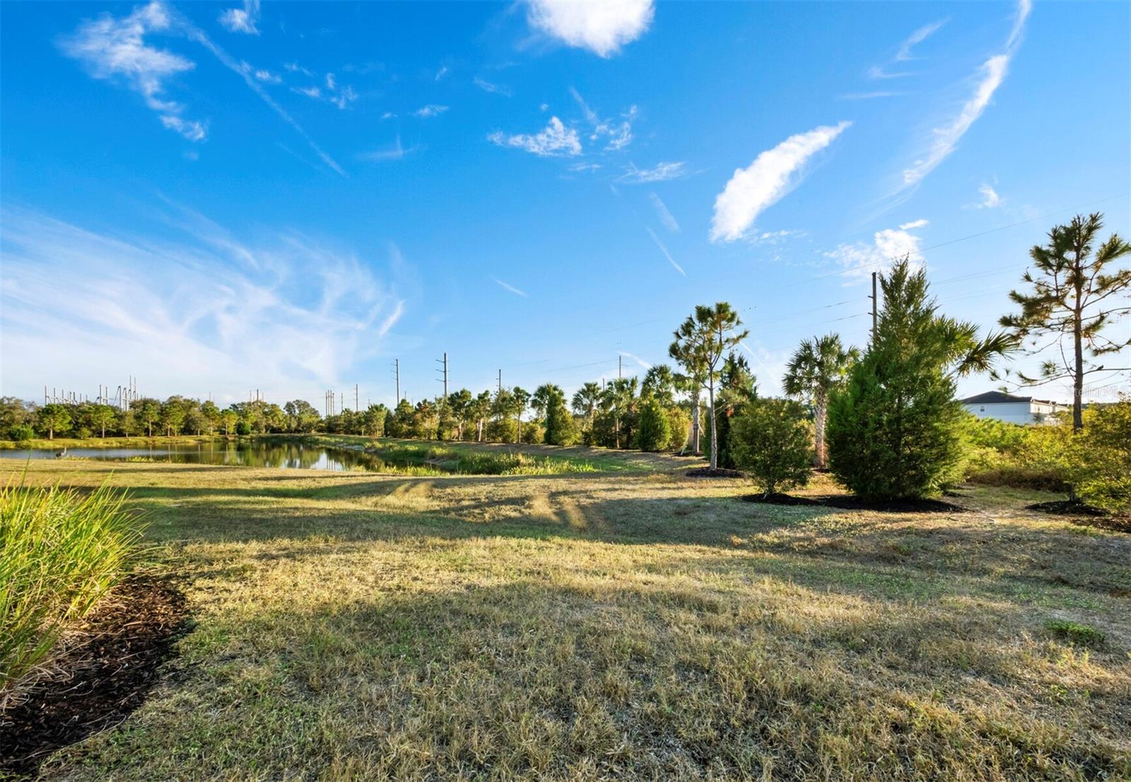 2878 BUTTERFLY JASMINE TRL