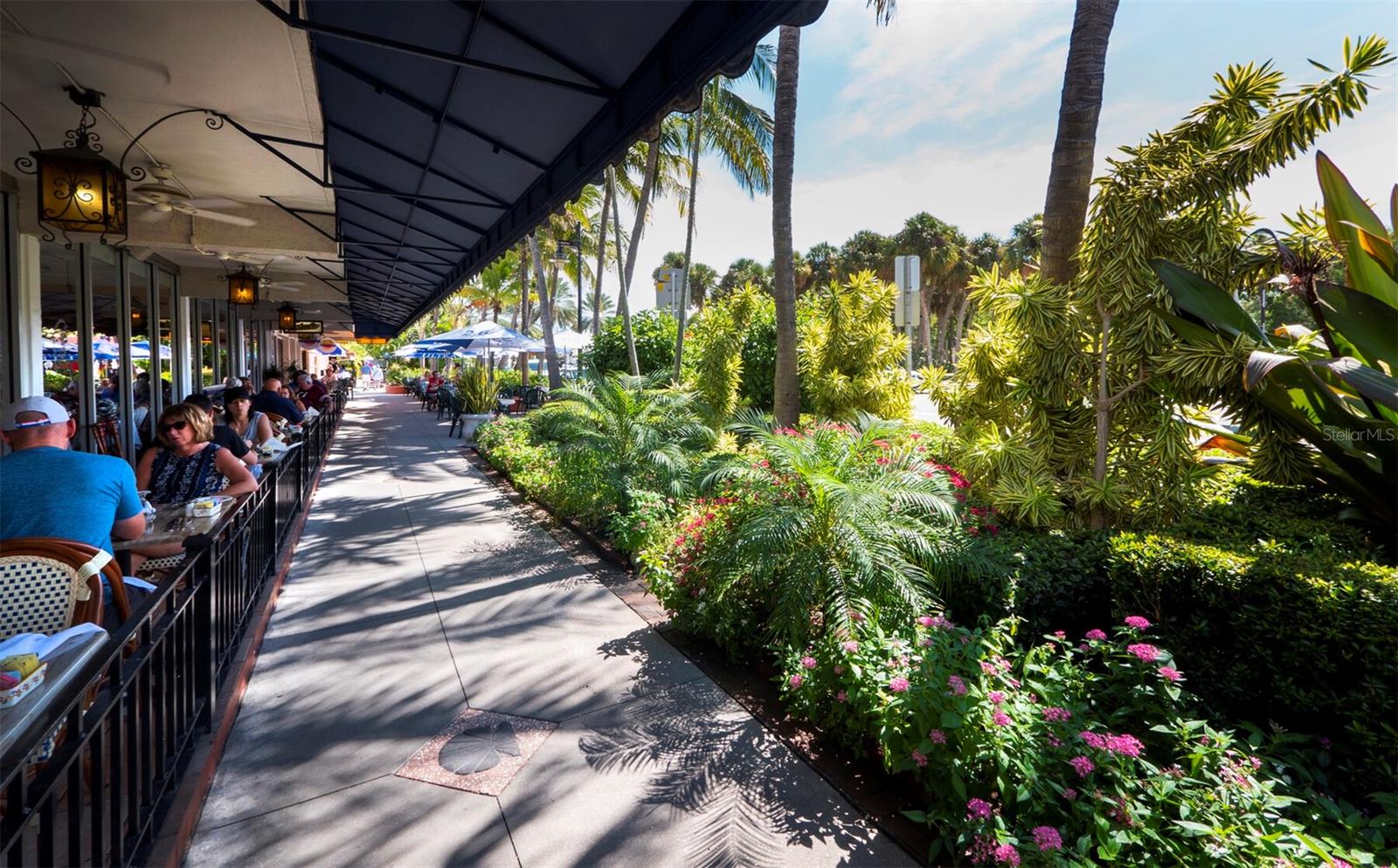 259 JOHN RINGLING BLVD