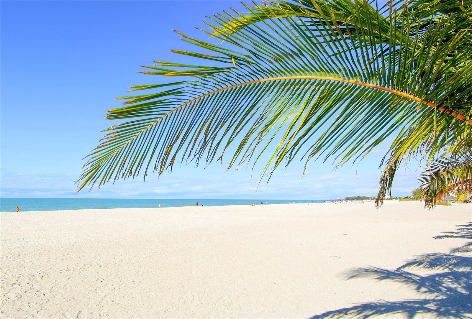 1800 BENJAMIN FRANKLIN DR #A1003