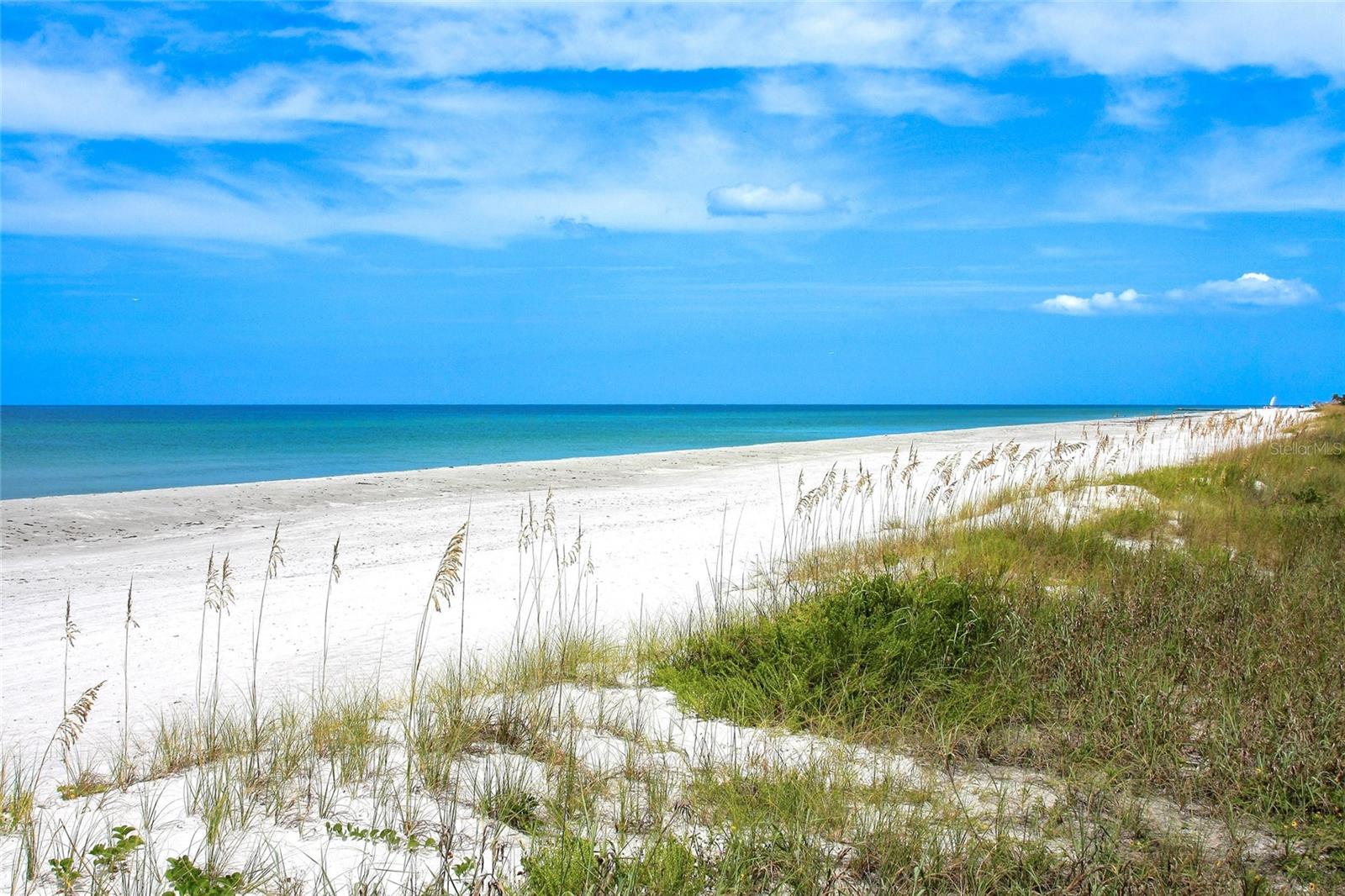 1800 BENJAMIN FRANKLIN DR #A1003