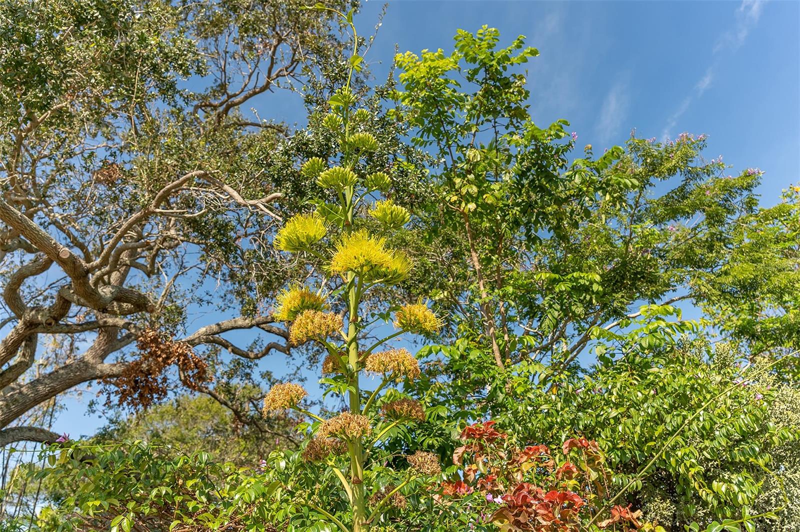 988 BLVD OF THE ARTS #1411