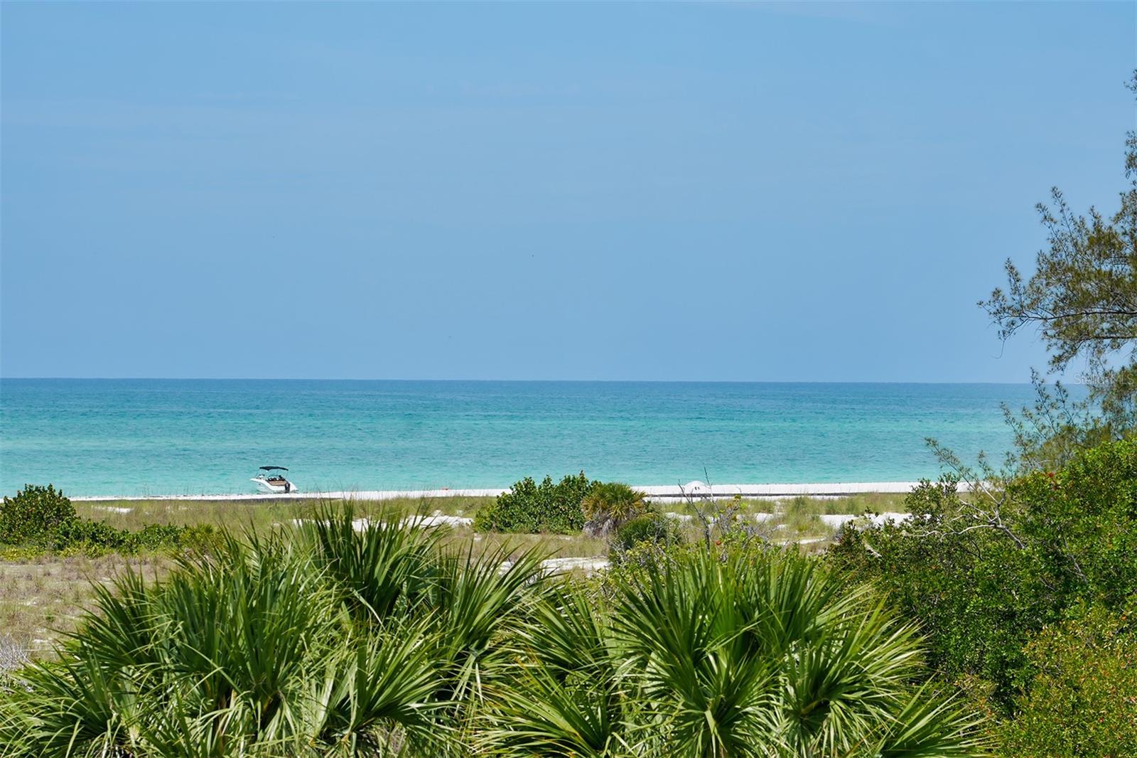 156 EMERSON DR