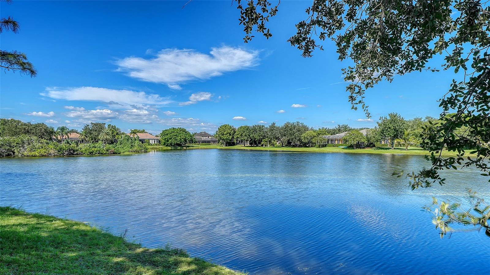 7467 CABBAGE PALM CT