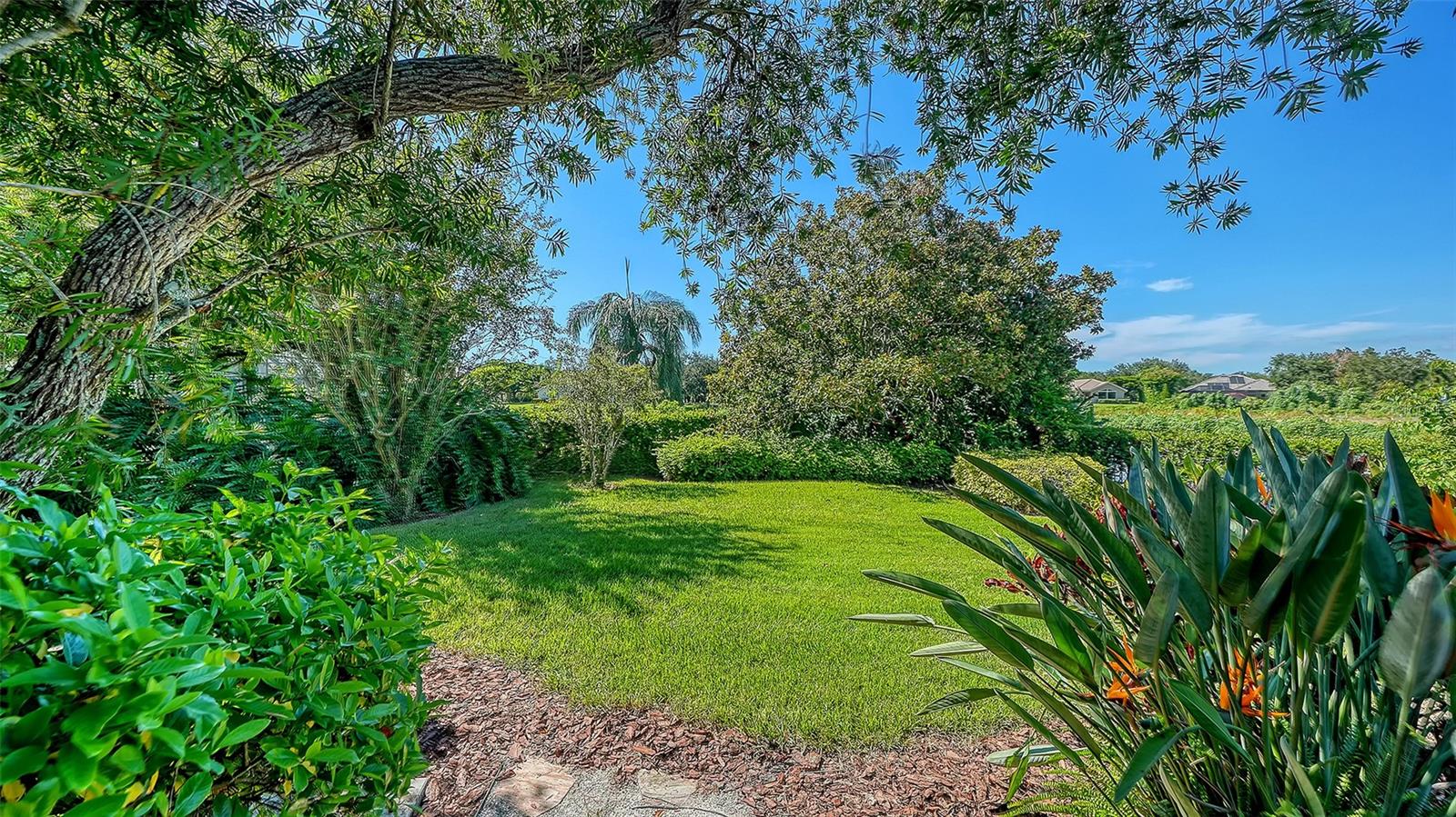 7467 CABBAGE PALM CT