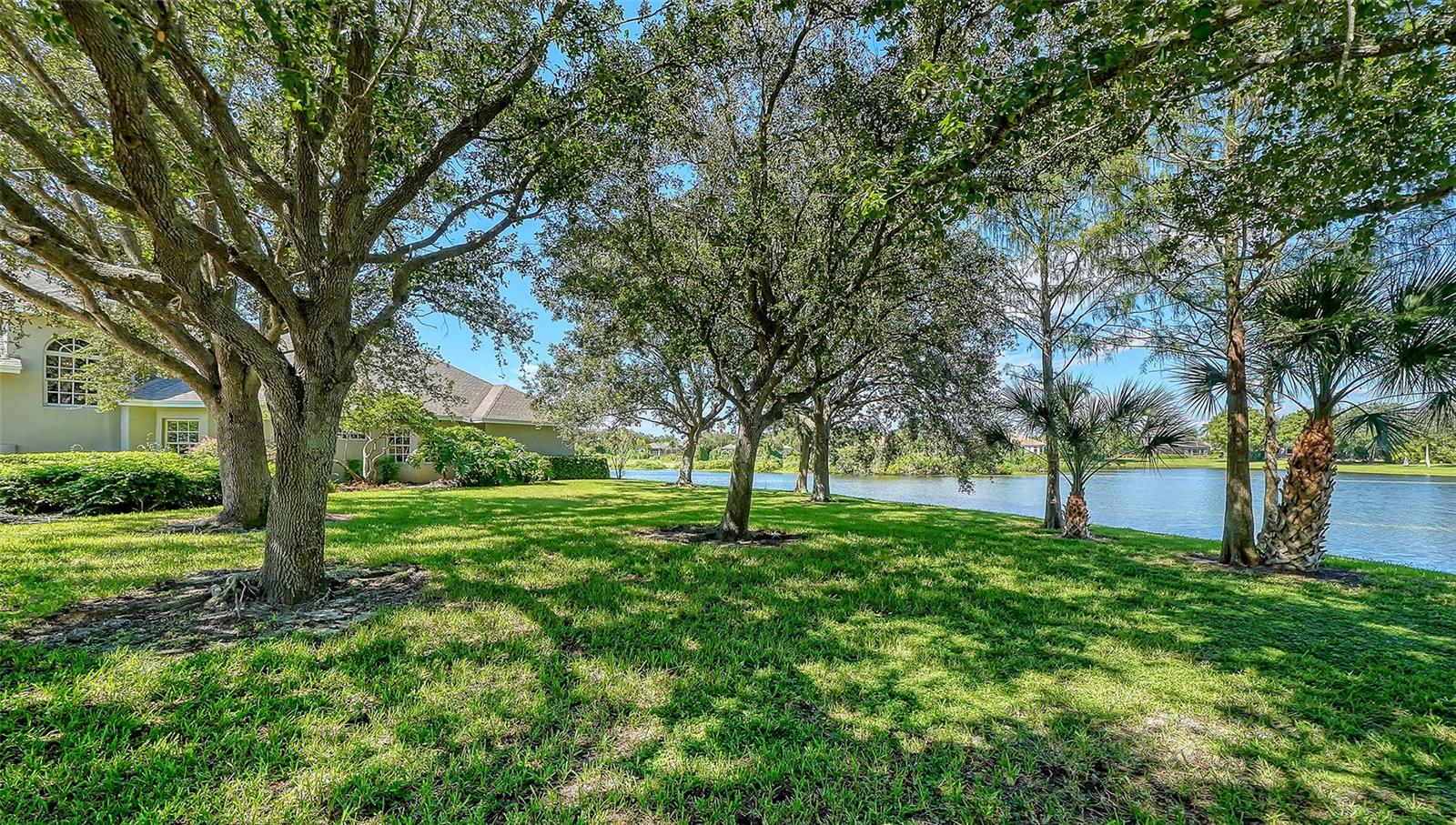 7467 CABBAGE PALM CT
