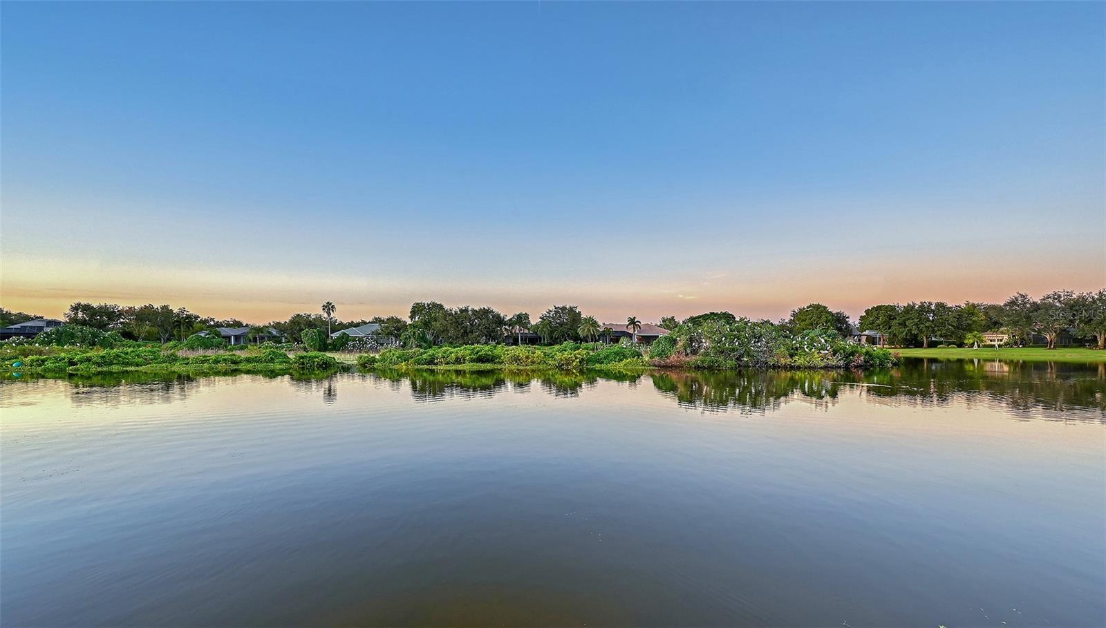 7467 CABBAGE PALM CT