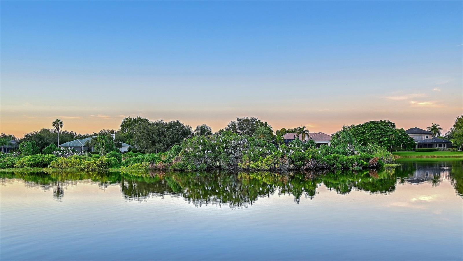 7467 CABBAGE PALM CT
