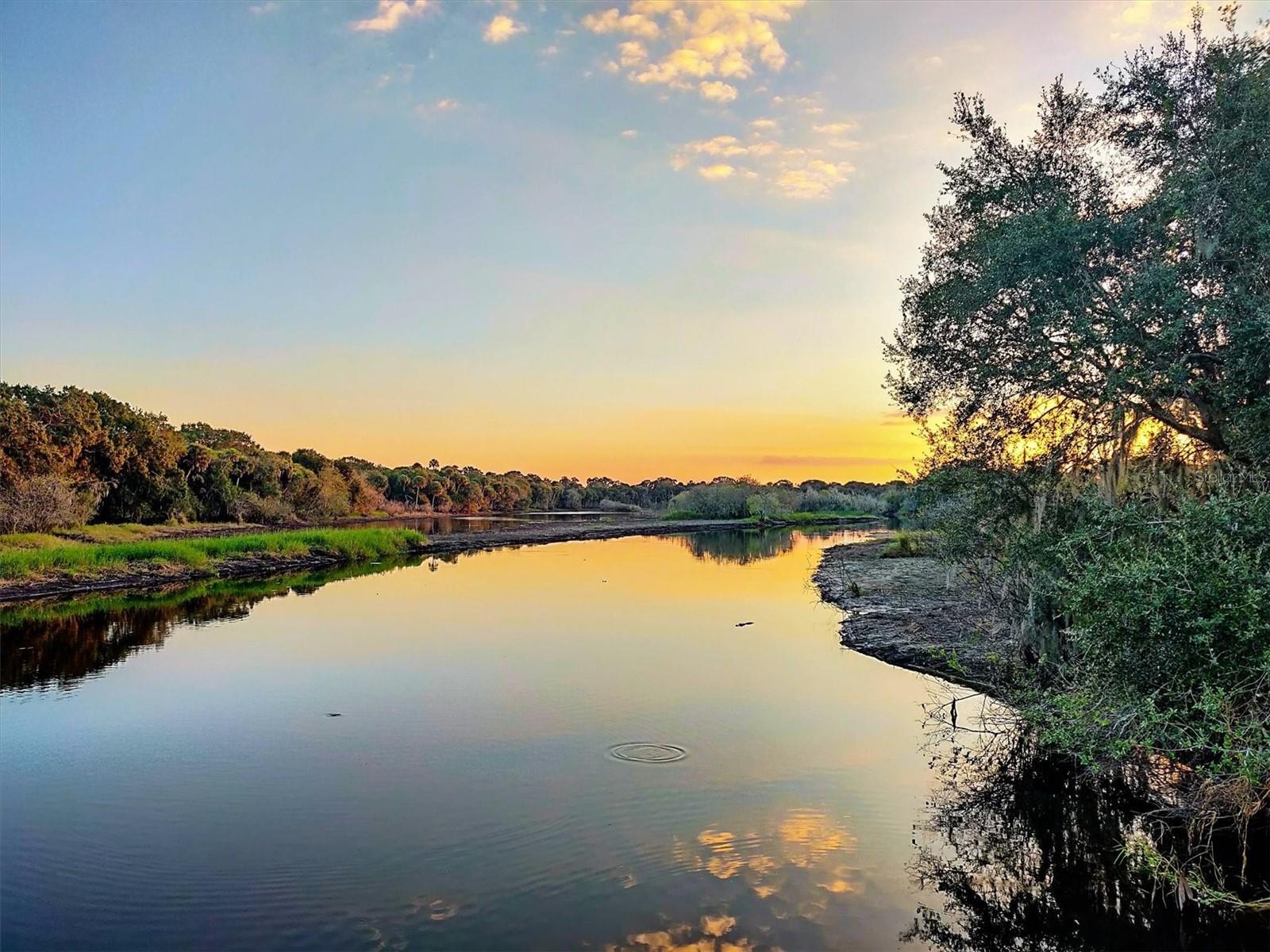 7131 SADDLE CREEK CIR