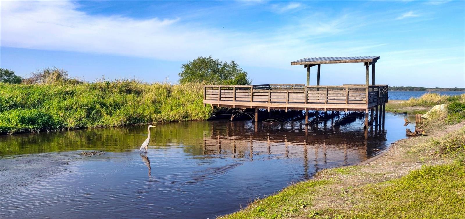 7131 SADDLE CREEK CIR