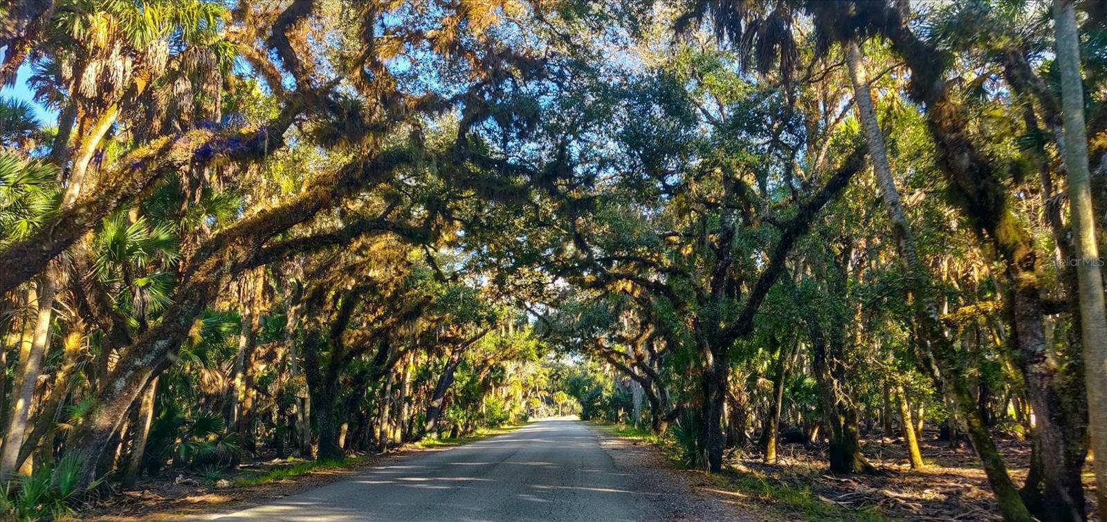 7131 SADDLE CREEK CIR