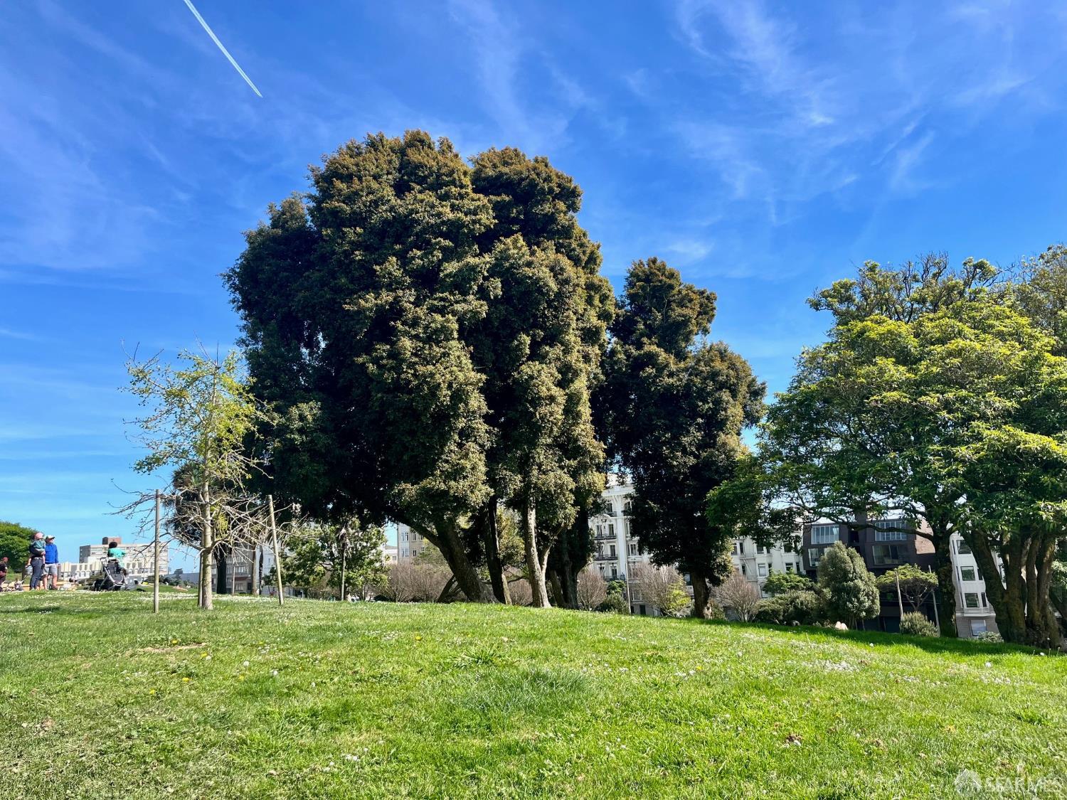 2200 Sacramento Street # 403