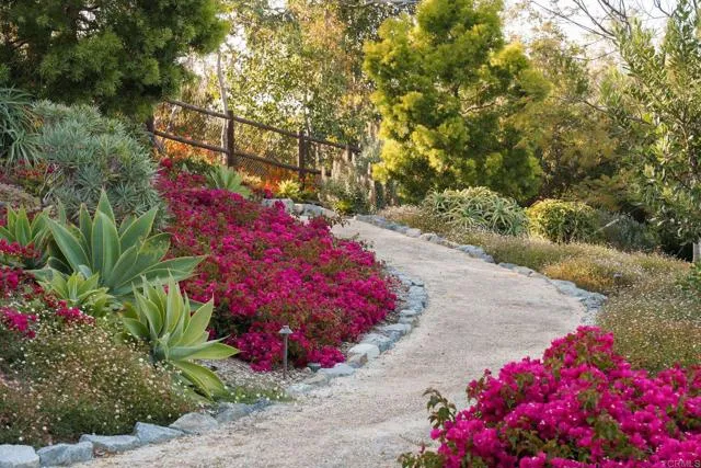 4946 Linea Del Cielo