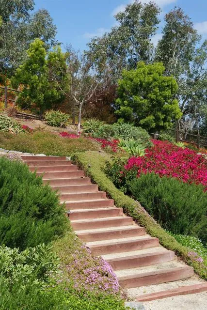 4946 Linea Del Cielo