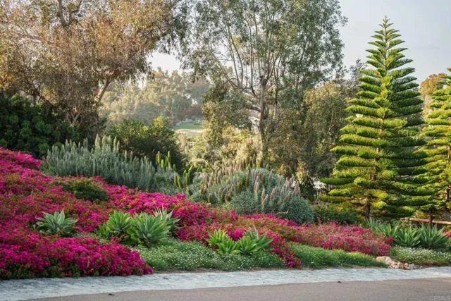 4946 Linea Del Cielo