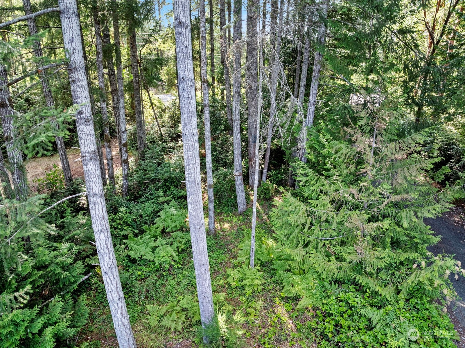 3061 E Pickering Road