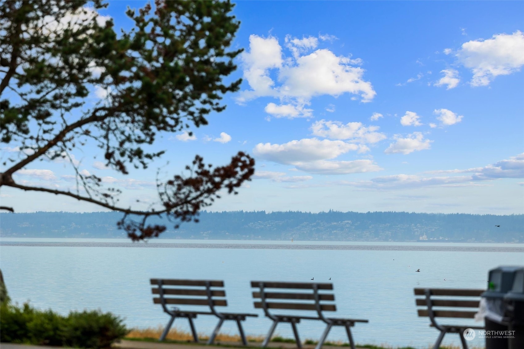 1564 Alki Avenue SW #406