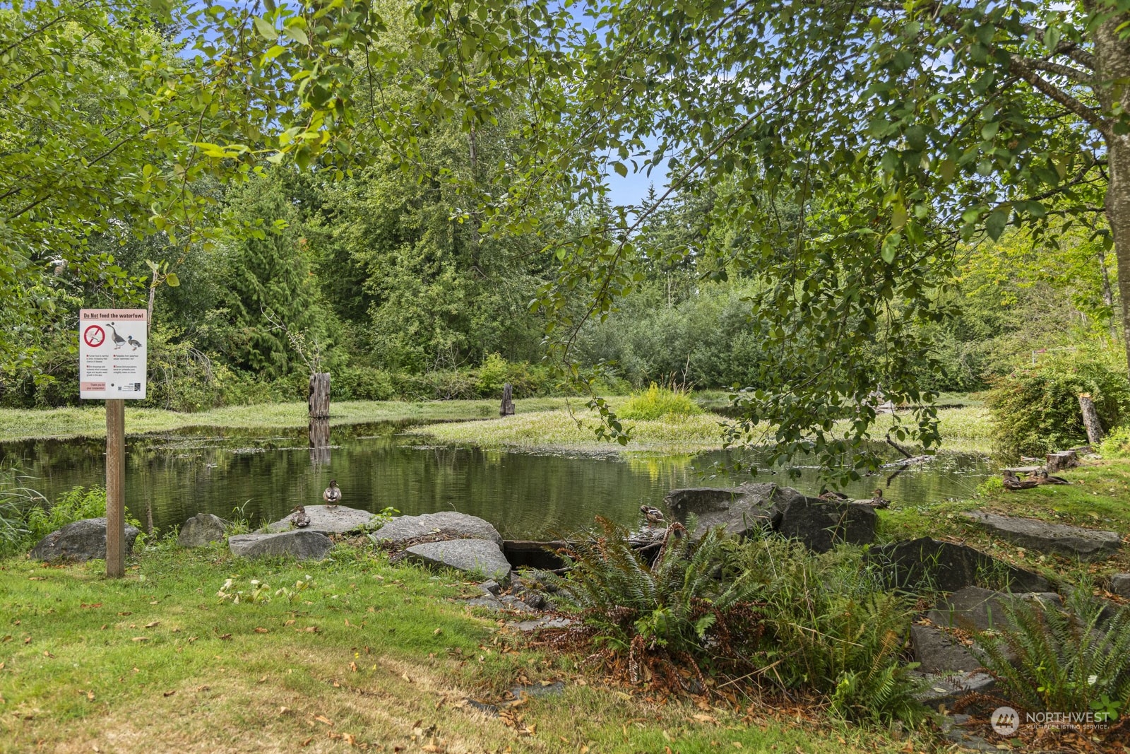 2103 Timber Trail