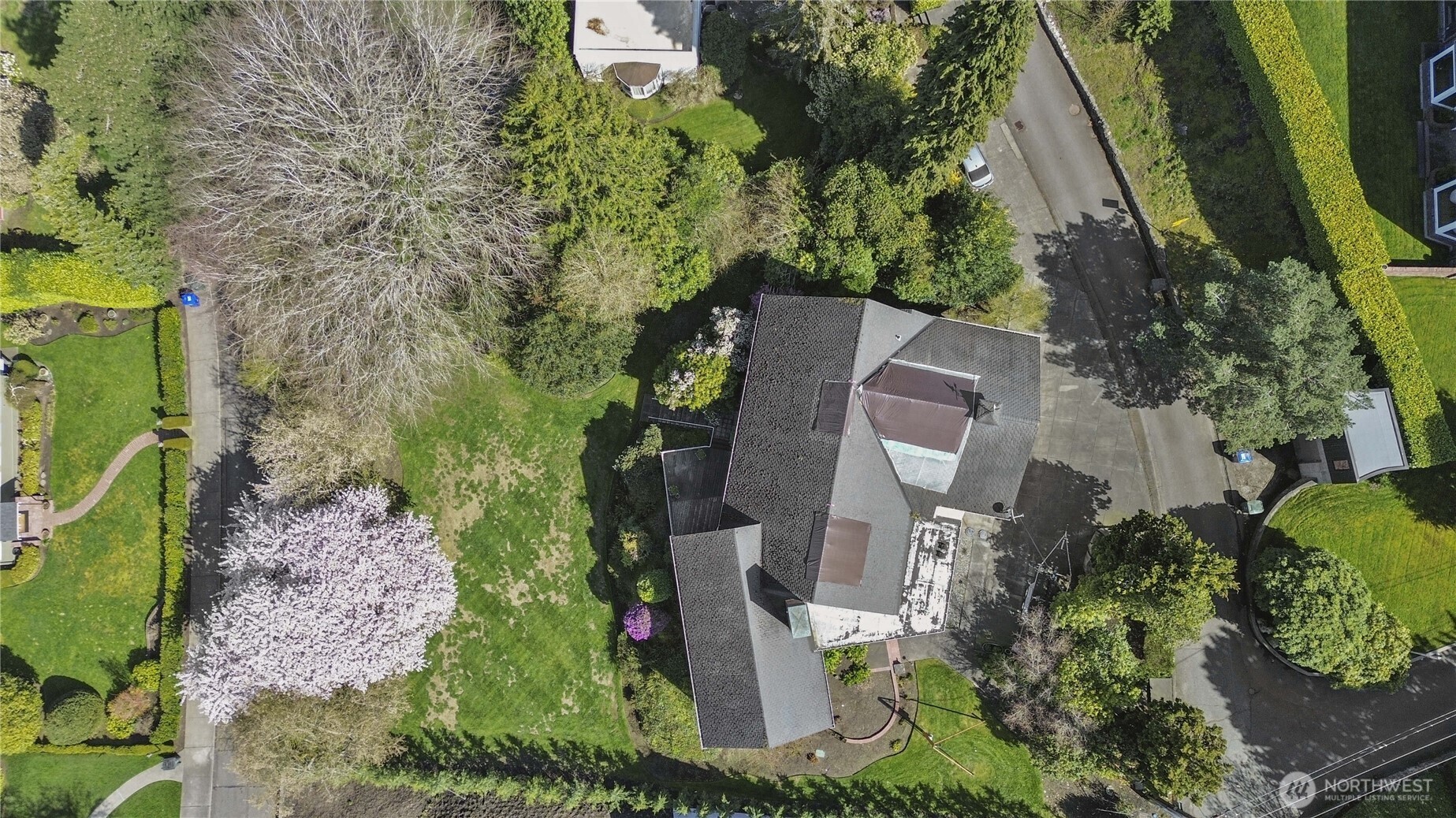 515 Laurel Drive