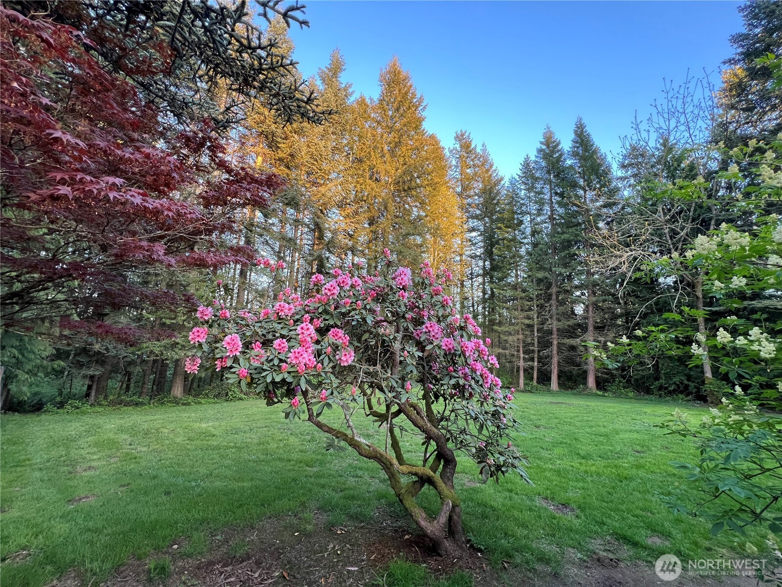 25726 120th Street SE