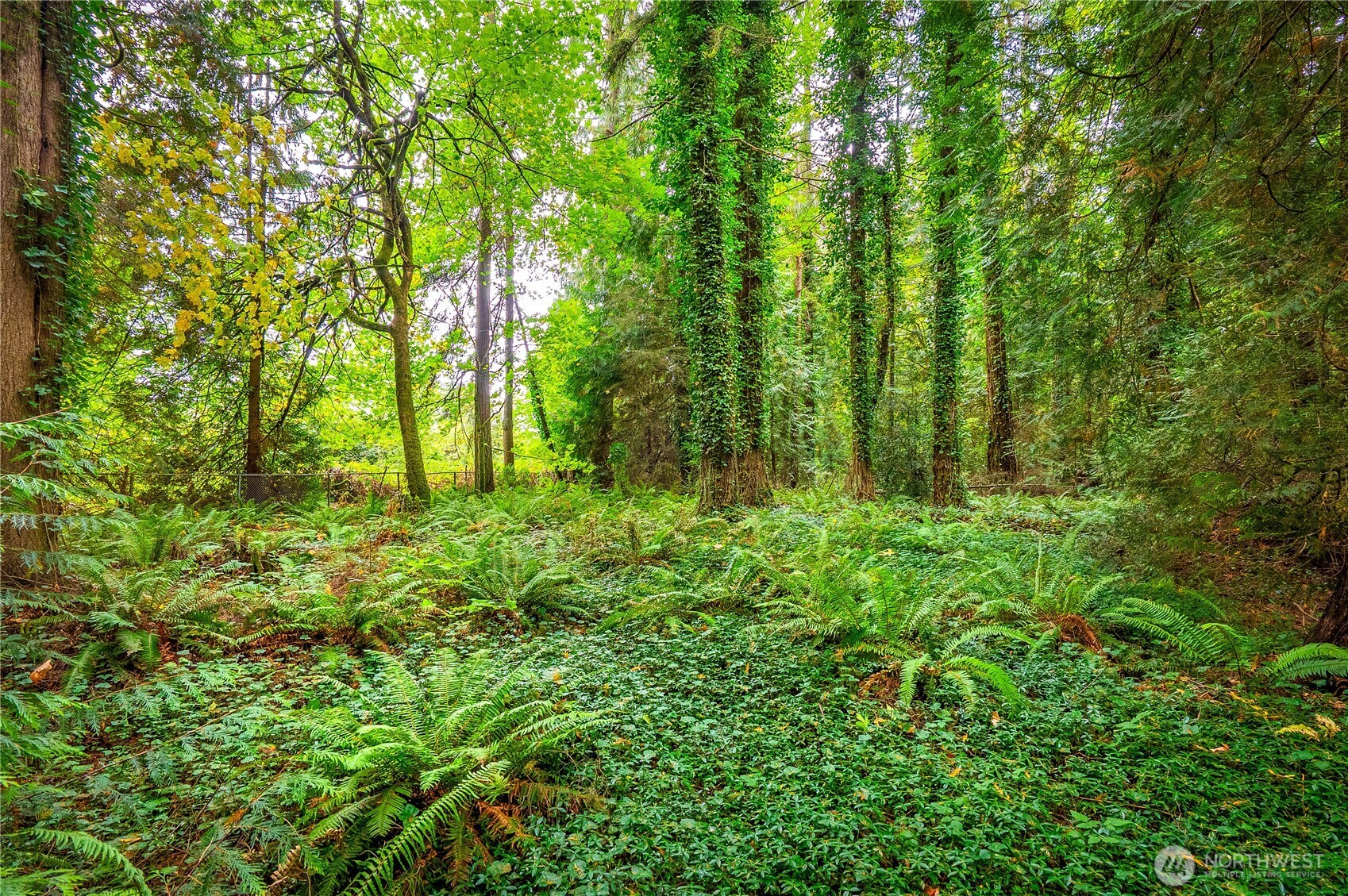 18808 152ND AVENUE NE