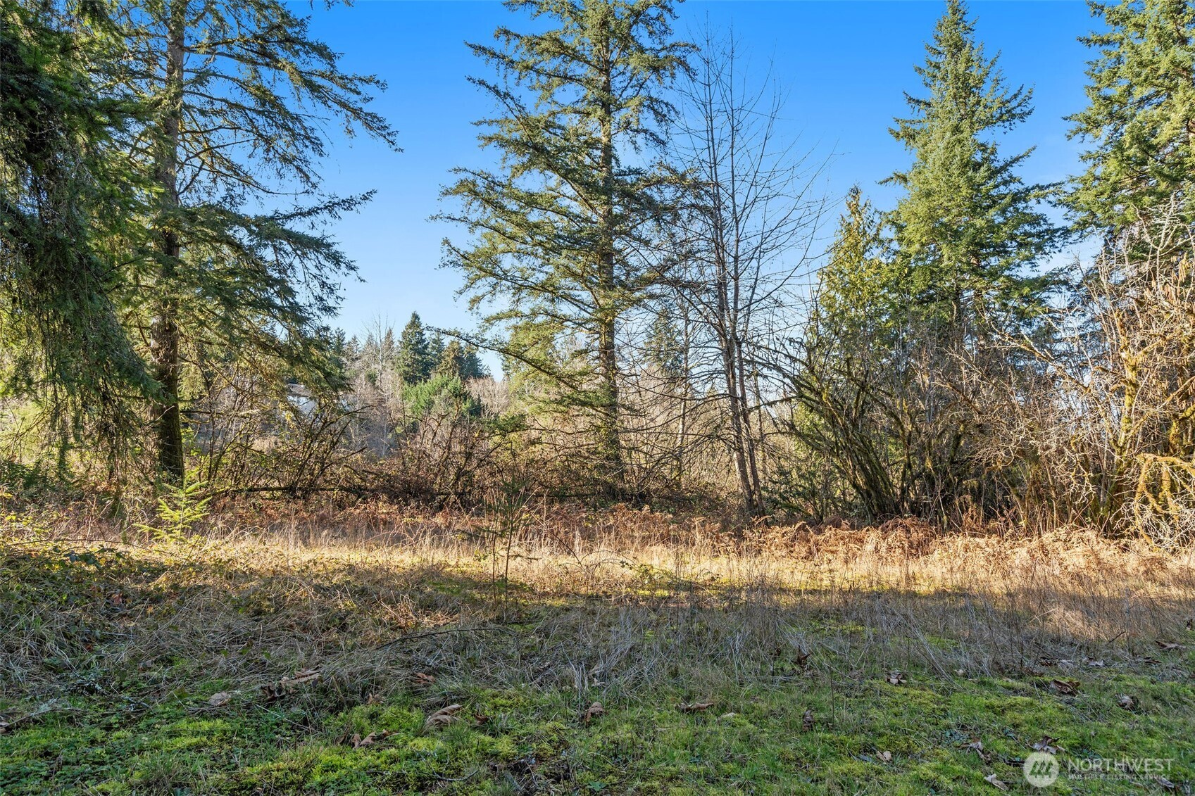 10714 180th Street SE