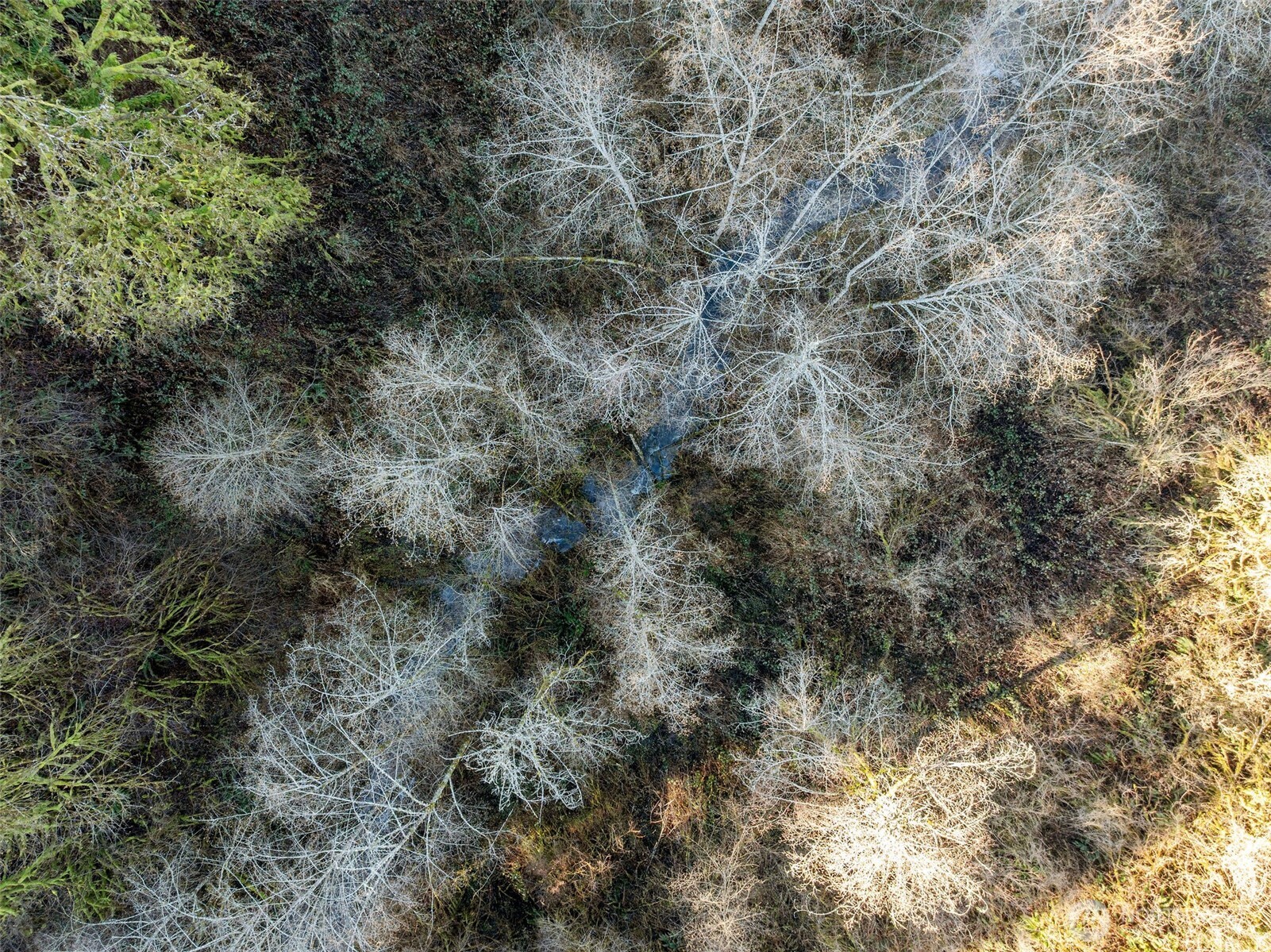 10714 180th Street SE