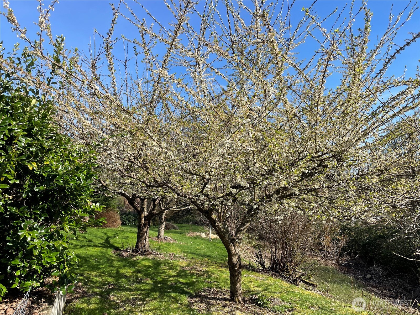 12514 Chain Lake Road