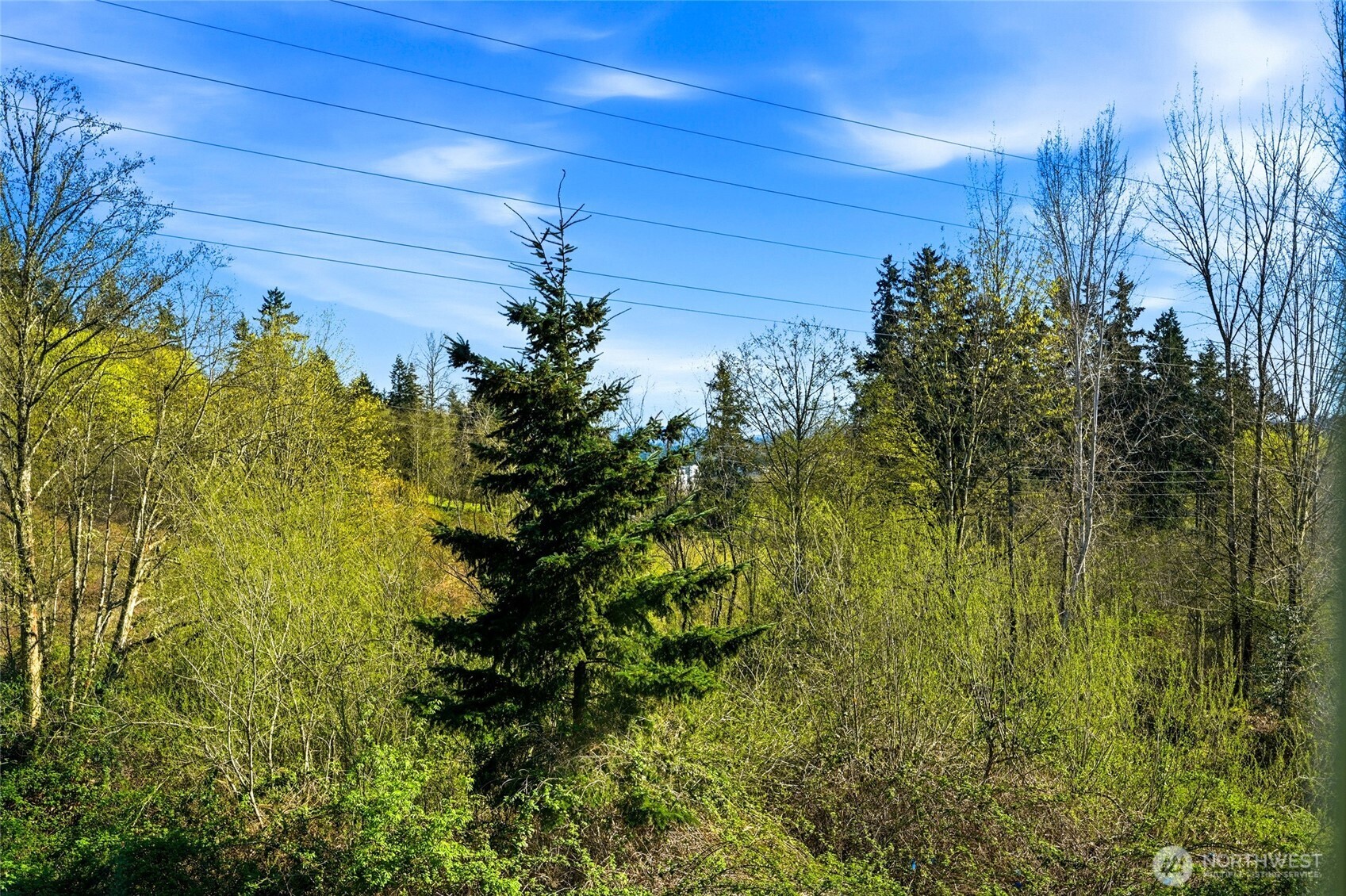 10175 156th Court NE Unit: 105