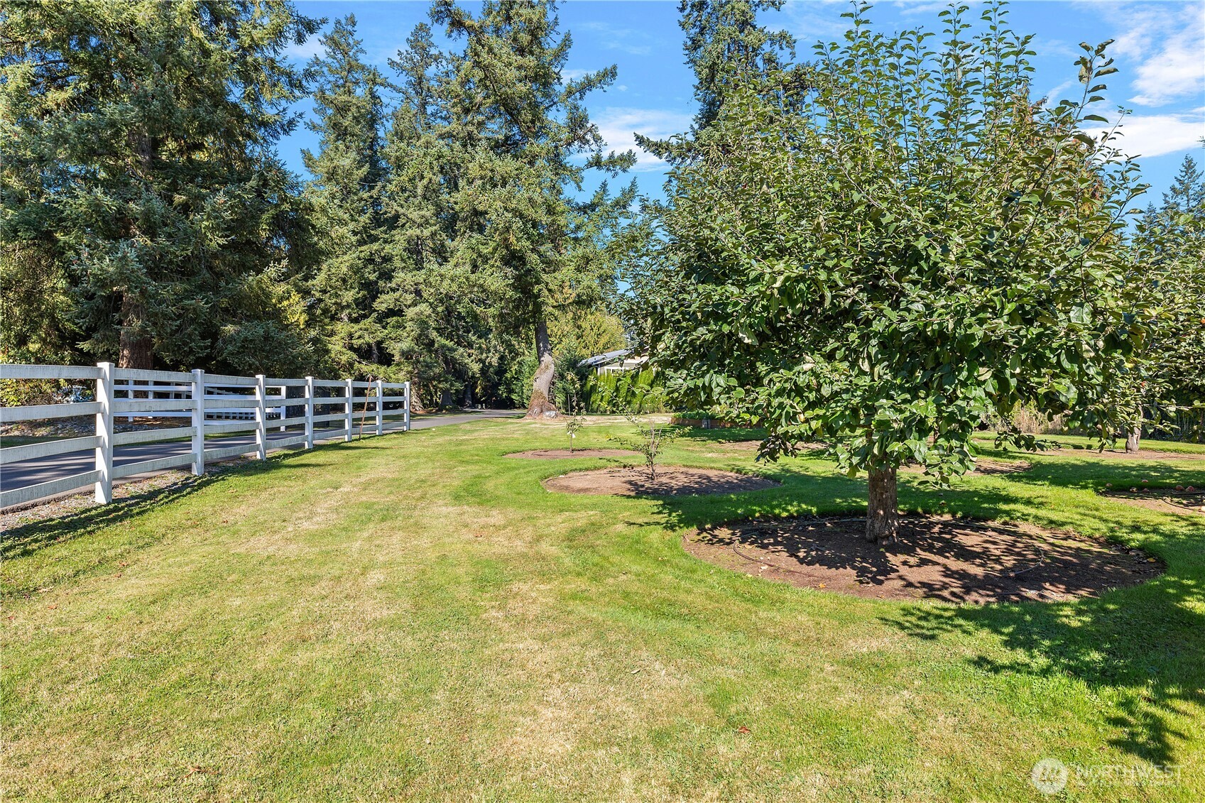 9717 196th Street SE