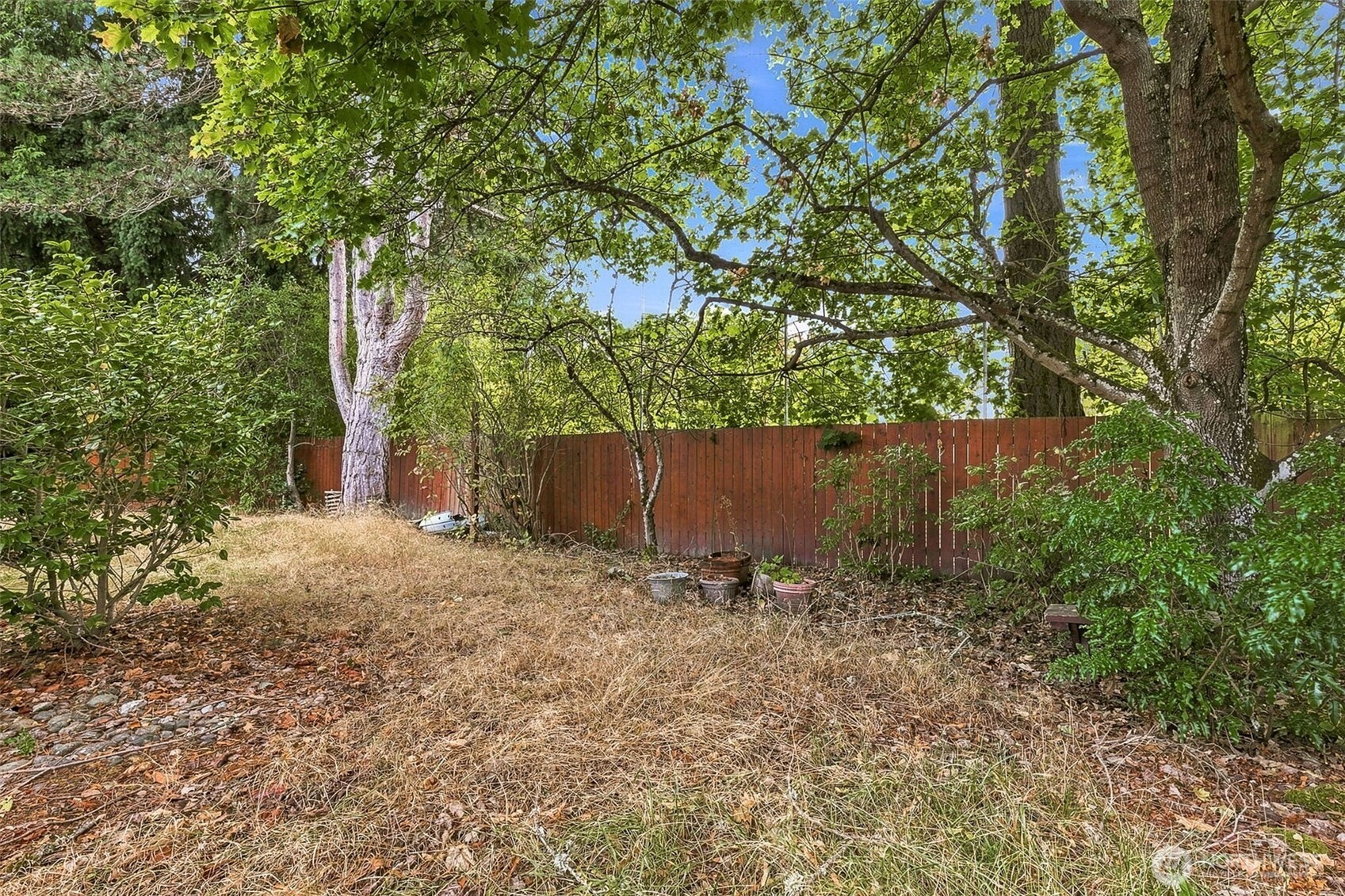 15427 SE 9th Street
