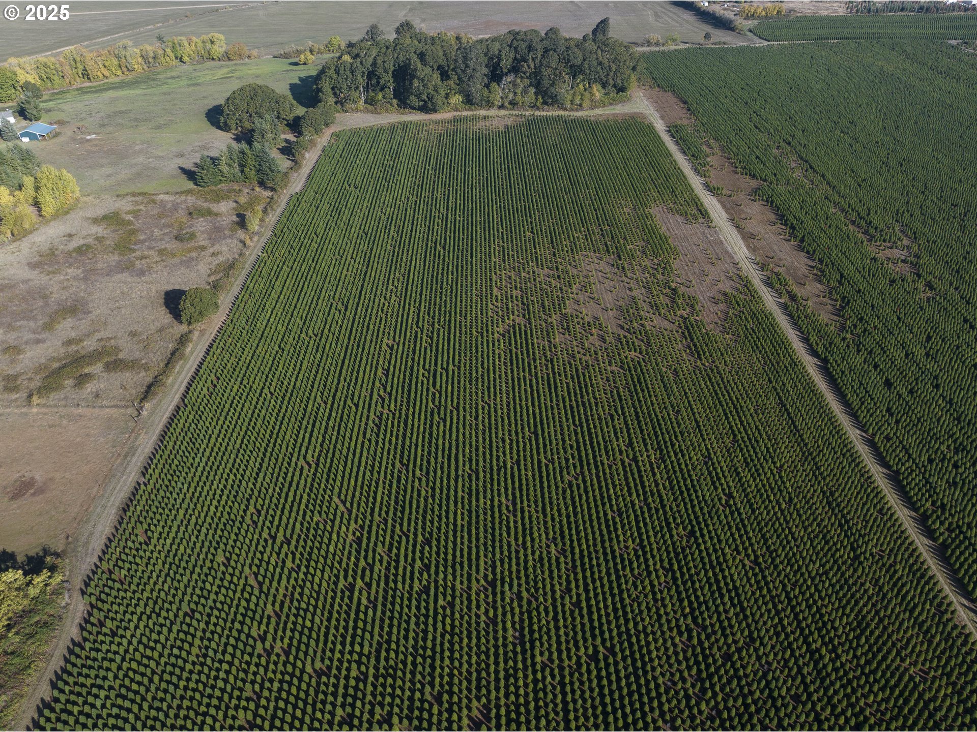 25110 SW RED PRAIRIE RD, Sheridan