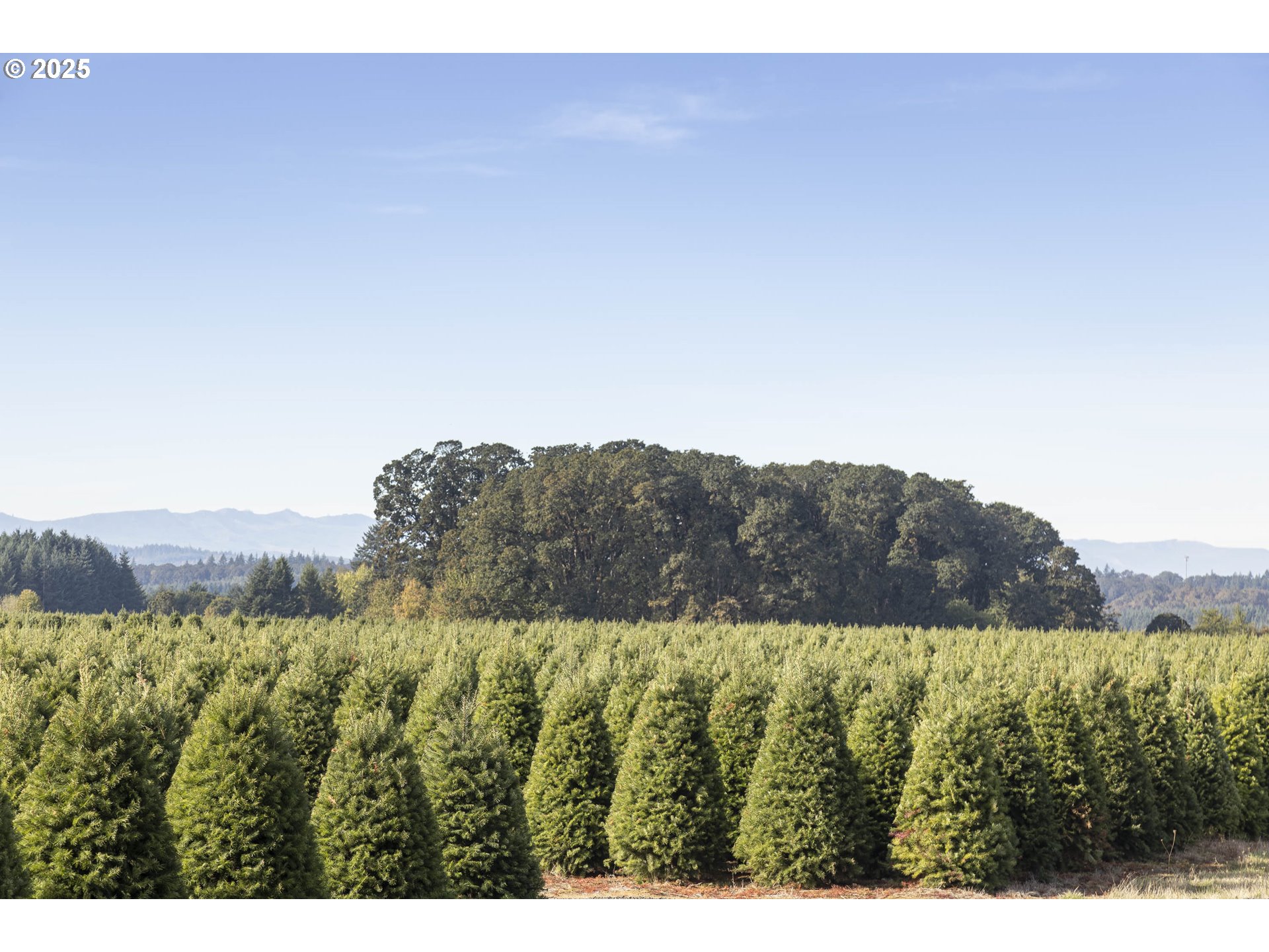 25110 SW RED PRAIRIE RD, Sheridan